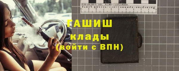 хмурый Абаза