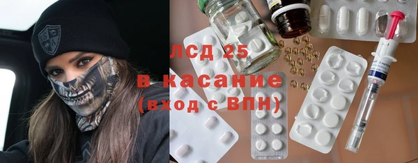 хмурый Абаза