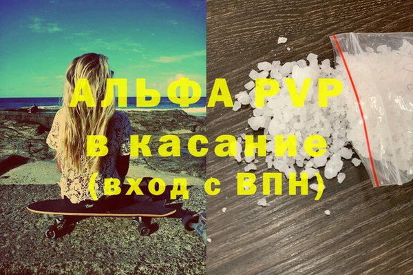 хмурый Абаза